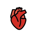 Anatomical Heart SVG Icon
